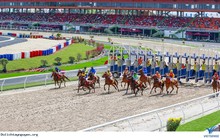 Đằng sau Trường đua ngựa, đua chó nghìn tỷ ở Lâm Đồng