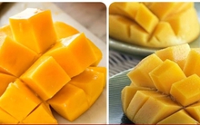 Xoài rất tốt cho sức khỏe nhưng lại 'đại kỵ' với những người này