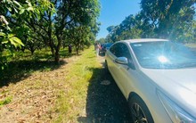 Rộ mô hình góp vốn mua đất trồng cây ăn quả, không làm gì vẫn lời 34%/năm, liệu có dễ lãi cao?