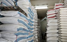 Yêu cầu doanh nghiệp báo cáo gấp gạo tồn kho, hợp đồng xuất khẩu