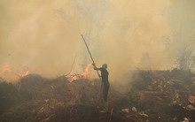 Người dân châu Á từng bước thích nghi với nắng nóng khắc nghiệt trong mùa hè