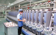 Nhà máy sợi An Ninh đi vào hoạt động, Damsan (ADS) báo lãi quý 2 tăng trưởng 43%