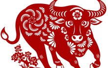 Cuối tuần này có 4 con giáp liên tiếp gặp may mắn, làm ăn kinh doanh được Thần Tài ưu ái, mọi việc thuận lợi