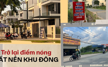 Quận 9 - từng là tâm điểm sốt đất Tp.HCM: Ngày trở lại!