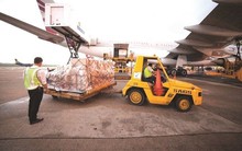 Him Lam mới thoái bớt vốn, một quỹ ngoại đã "nhanh chân" trở thành cổ đông lớn của Phục vụ Mặt đất Sài Gòn (SGN)