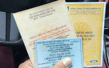 8 trường hợp bị thu hồi cà vẹt, biển số xe từ ngày 15-8