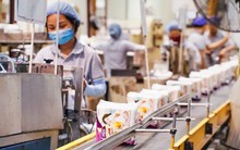 12 năm sau thương vụ M&A có giá gần 4.000 tỷ đồng, Diana trong tay đại gia Nhật đang kinh doanh ra sao?