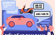 [Infographics] Thông tin chi tiết về biển số định danh