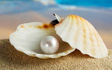 "Viên ngọc quý" giá trị có thể lên đến 33,8 tỷ USD của Việt Nam