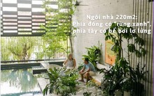 Ngôi nhà 220m2 được thiết kế thông minh: Phía đông có “rừng xanh”, phía tây có bể bơi lơ lửng, quanh năm mát mẻ không quá 30 độ C, ai ngắm cũng trầm trồ