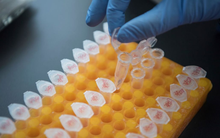 Trung Quốc ngồi trên một “kho báu” quý như vàng, sẵn sàng chi hàng tỷ USD để đi trước thế giới