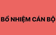 Bổ nhiệm ông Trịnh Mạnh Linh làm Trợ lý Thủ tướng Phạm Minh Chính