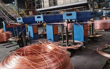 Công an tiếp nhận hồ sơ Công ty LIOA Đồng Nai có dấu hiệu trốn thuế