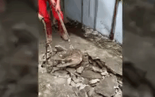 Nghe âm thanh khó hiểu phát ra từ vỉa hè bị nứt, người dân tiến lại gần chứng kiến cảnh tượng kỳ quái