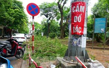 Cảnh nhếch nhác xuống cấp, phế thải bủa vây ở vườn hoa giữa Thủ đô