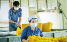 Trung Quốc chi tỷ USD nhập một mặt hàng, chiếm gần 80% tổng giá trị xuất khẩu của Việt Nam