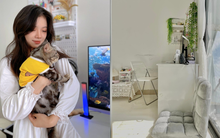 "Nhiều người đi làm cả đời cũng chỉ mong có 1 căn nhà đẹp, còn mình ở thuê cũng phải đầu tư"