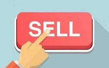 Tự doanh CTCK bán ròng mạnh tay hơn 400 tỷ đồng, tập trung một cổ phiếu thiết bị điện