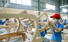Ngành gỗ: Sau cơn mưa, trời có sáng?