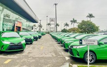 Mặc kệ trào lưu xe điện, 1 hãng taxi vẫn quyết định thay dàn 10.000 xe Toyota mới