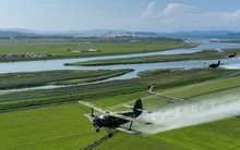 Ông Kim Jong-un lệnh cho máy bay quân sự phun thuốc bảo vệ mùa màng