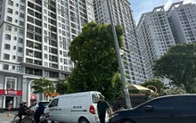 Phân khúc bất động sản nào đang được quan tâm nhất?