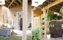 Cải tạo hiên nhà toàn cỏ mọc thành góc thư giãn thơ mộng