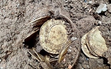 Tìm chìa khoá bị rơi, người đàn ông 'đụng trúng' 14 đồng tiền cổ giá trị ở vườn nhà