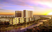 Theo chân DIG, công ty của gia đình một vị "Shark" thoát lỗ quý II nhờ phạt vi phạm hợp đồng