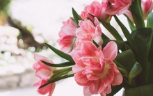 Đặt bình hoa trong nhà ở vị trí nào cho hợp phong thủy