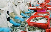 Mục tiêu xuất khẩu 55 tỷ USD ngành nông nghiệp "trong tầm tay"