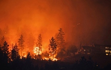 Thế giới đang phải chứng kiến những đám cháy rừng nghiêm trọng