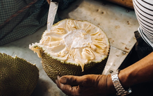 Loại quả 'thơm 7 gian nhà, 3 gian bếp' giúp kiểm soát đường huyết, chống bệnh tật quen thuộc với người Việt