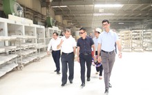 Tập đoàn GFR của Algeria tìm kiếm cơ hội hợp tác với doanh nghiệp Việt Nam