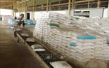 Đảm bảo đủ nguồn lương thực dự trữ ứng phó kịp thời các tình huống cấp bách