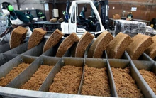 Xuất khẩu một mặt hàng sang Trung Quốc thu về hơn 1 tỷ USD chỉ trong 7 tháng đầu năm, Việt Nam nắm sản lượng đứng thứ 3 thế giới