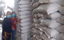 Nguyên nhân chính "ẩn" trong giá gạo tăng