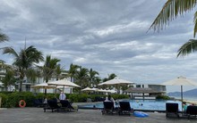 Doanh nghiệp ven biển Đà Nẵng kêu cứu