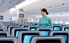Vietnam Airlines: Báo cáo tài chính muộn nhất sẽ có trong tháng 9, Đại hội đồng cổ đông trong tháng 10