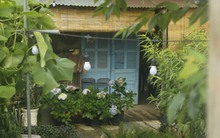 Bỏ phố về Đà Lạt mở quán cà phê: Thị trường bão hòa, có tháng không kiếm được đồng lời nào