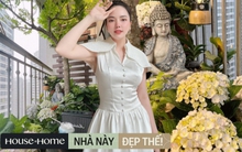 Ở thành phố nhưng đam mê làm vườn: Cô gái dồn sức cải tạo ban công chung cư, thành quả vô cùng mỹ mãn