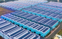 SkyX Solar muốn phát triển thêm hơn 200MWp điện mặt trời áp mái tại Việt Nam