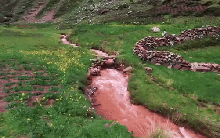 Dòng sông kỳ lạ chuyển màu đỏ như máu mỗi khi mùa đông đến, nghe tên là thấy quen