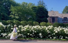 Khu vườn đẹp như cổ tích ở Mỹ, chủ nhân được dân mạng gọi là “nàng tiên hoa”