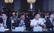 Việt Nam cần chuẩn bị gì để đón "đại bàng", "ong chúa"?