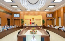 Chưa thực hiện đấu giá kho số viễn thông vì không xác định được giá khởi điểm