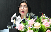 ‘Soi’ năng lực tài chính của Công ty đấu giá hợp danh Việt Nam