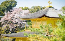 Một ngôi chùa dát vàng cực hút khách ở Nhật Bản, có lịch sử hơn 600 năm, tượng trưng cho thiên đường hạnh phúc