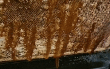 Kiểm tra vật dụng ngày nào cũng dùng trong bếp sau gần 10 năm, gia chủ choáng váng với tình trạng hiện tại