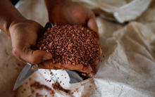 Một mặt hàng của Việt Nam đang được Campuchia mạnh tay gom với giá rẻ kỷ lục, xuất khẩu tăng mạnh trong 7 tháng đầu năm